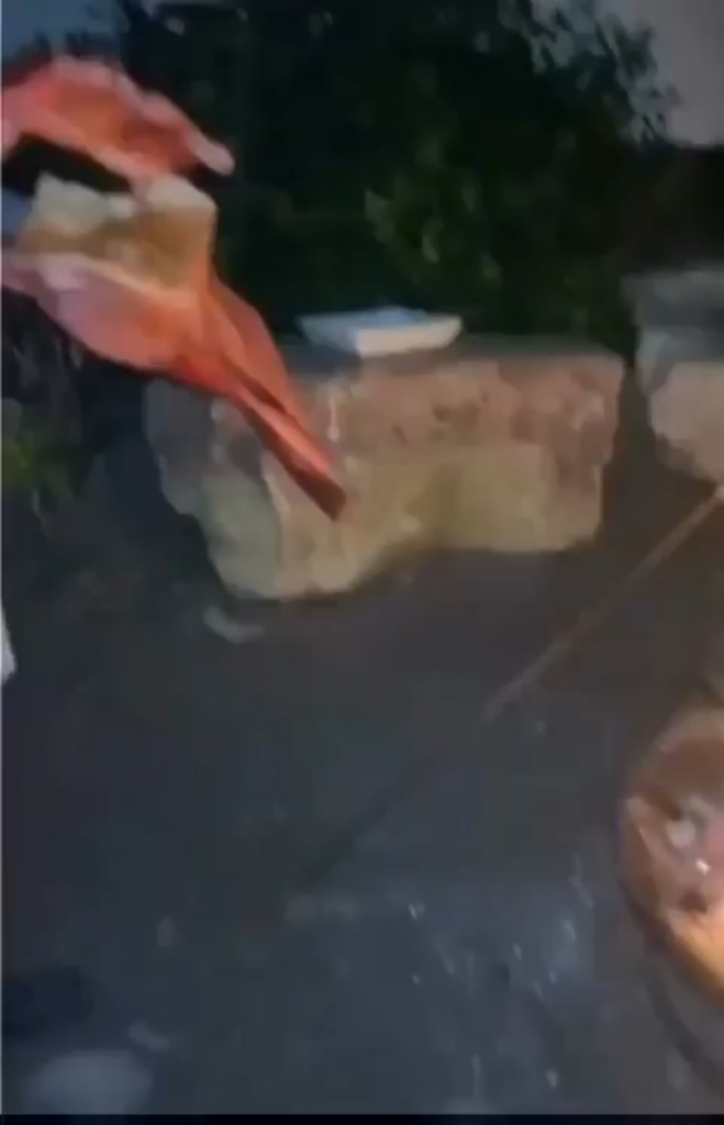 Which one of you did this?