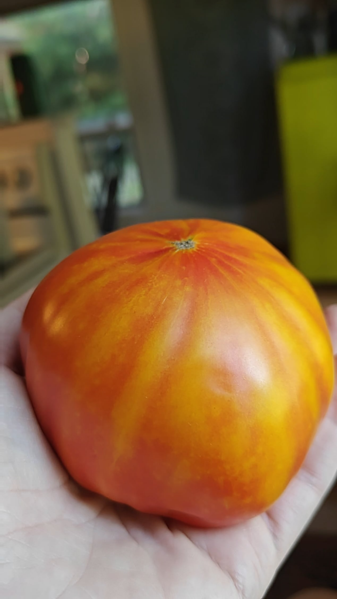 First pineapple 🍍🍅 of the season.
