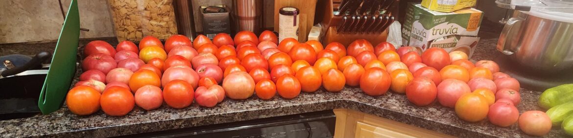 Recipe request for bumper crop of tomatoes?