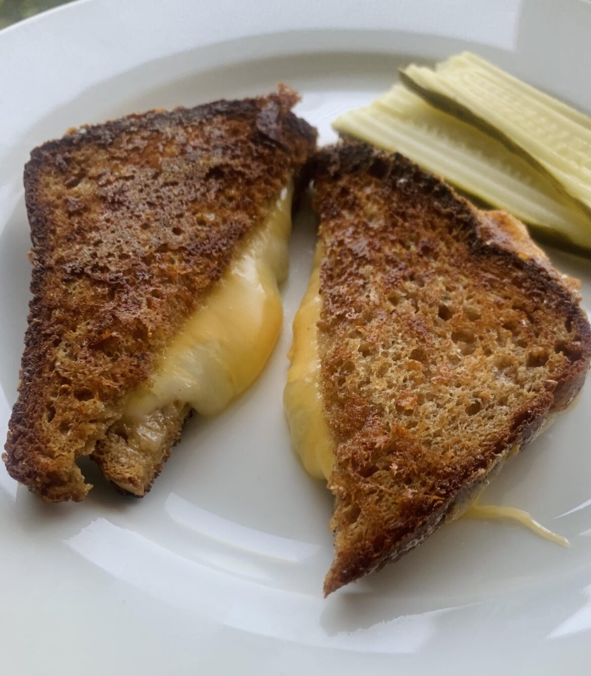 My boy wanted lunch: Muenster and American on sprouted wheat with a parm crust.