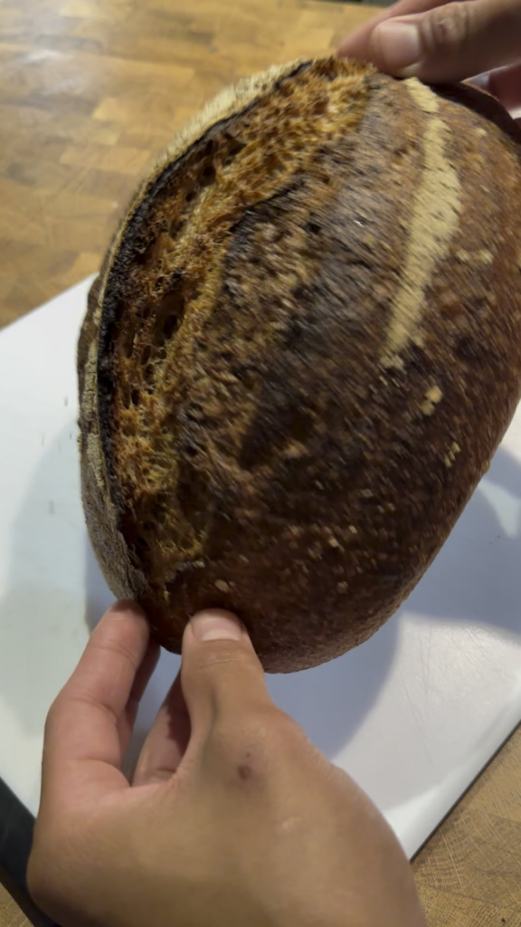 100% Wholegrain with Corn Scald