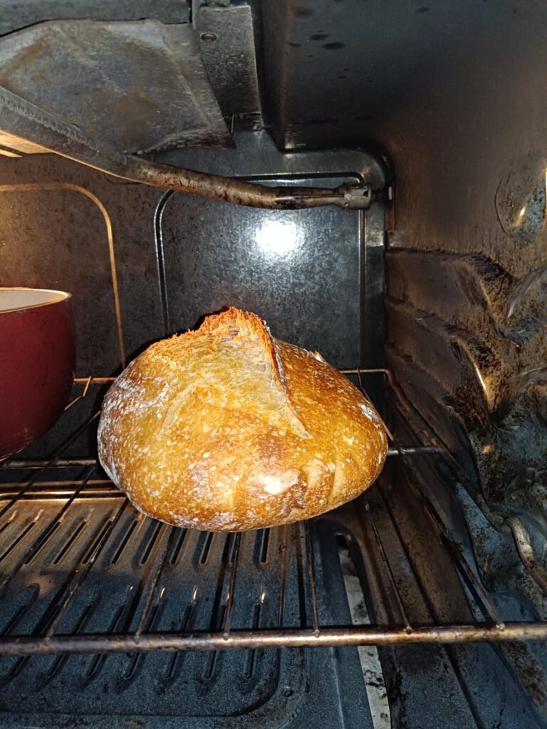 My finest ear in a long while