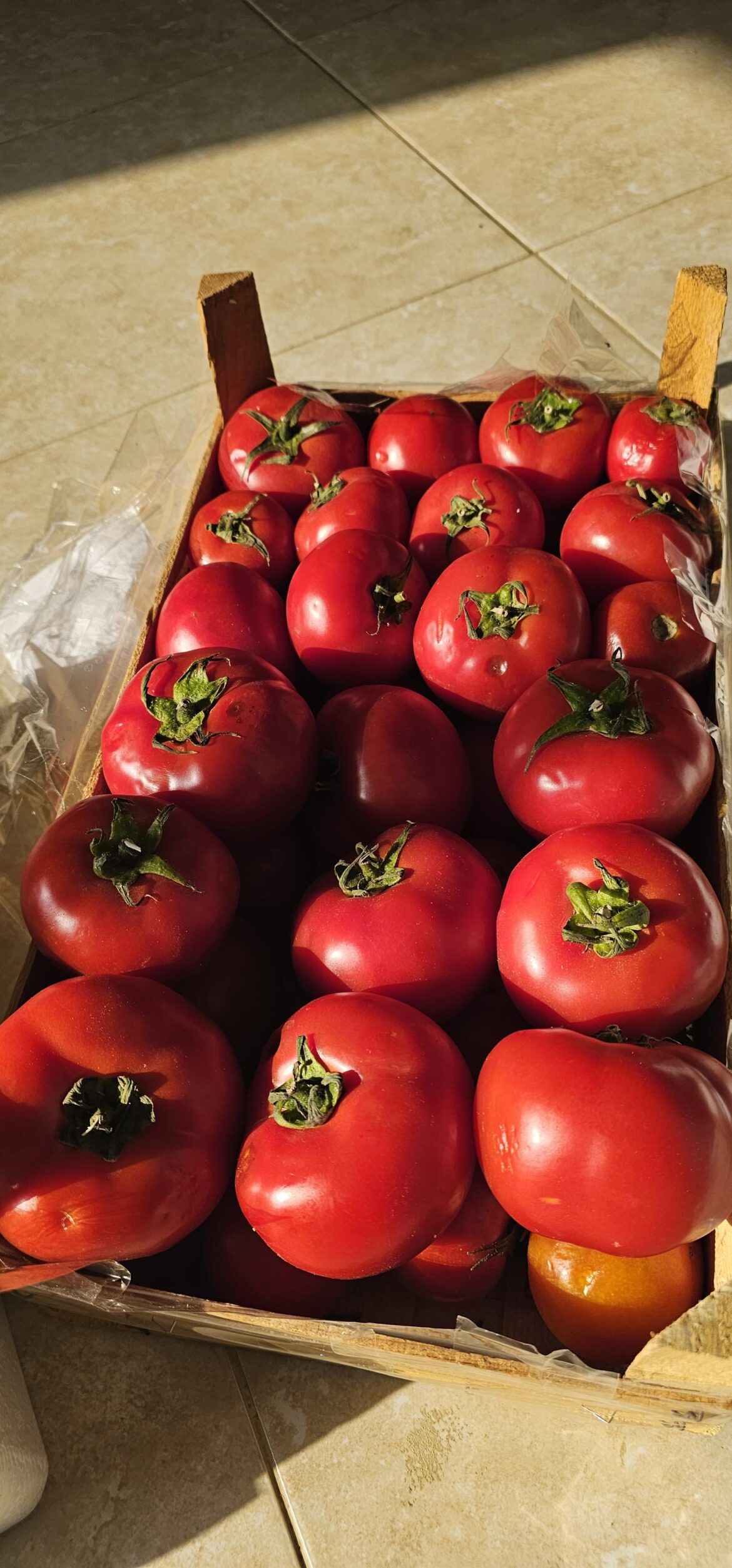 I think I don't need to say how tasty they are