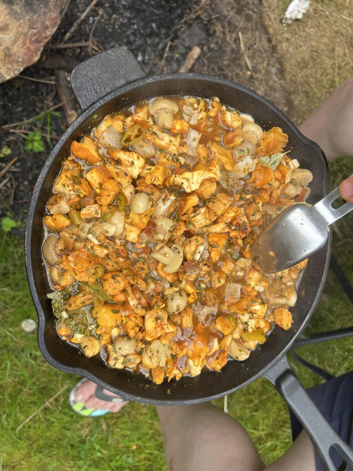 Wild caught Golden Chanterreles with butter and Tomato Sauce