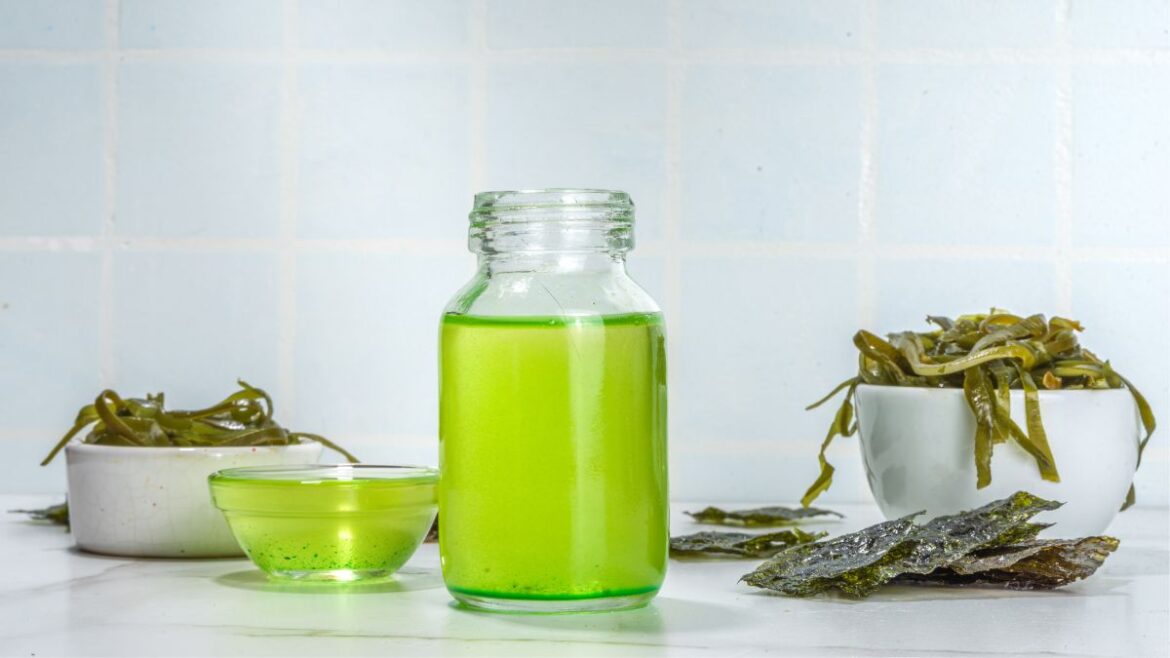 Algae Cooking Oil Health Benefits and Drawbacks