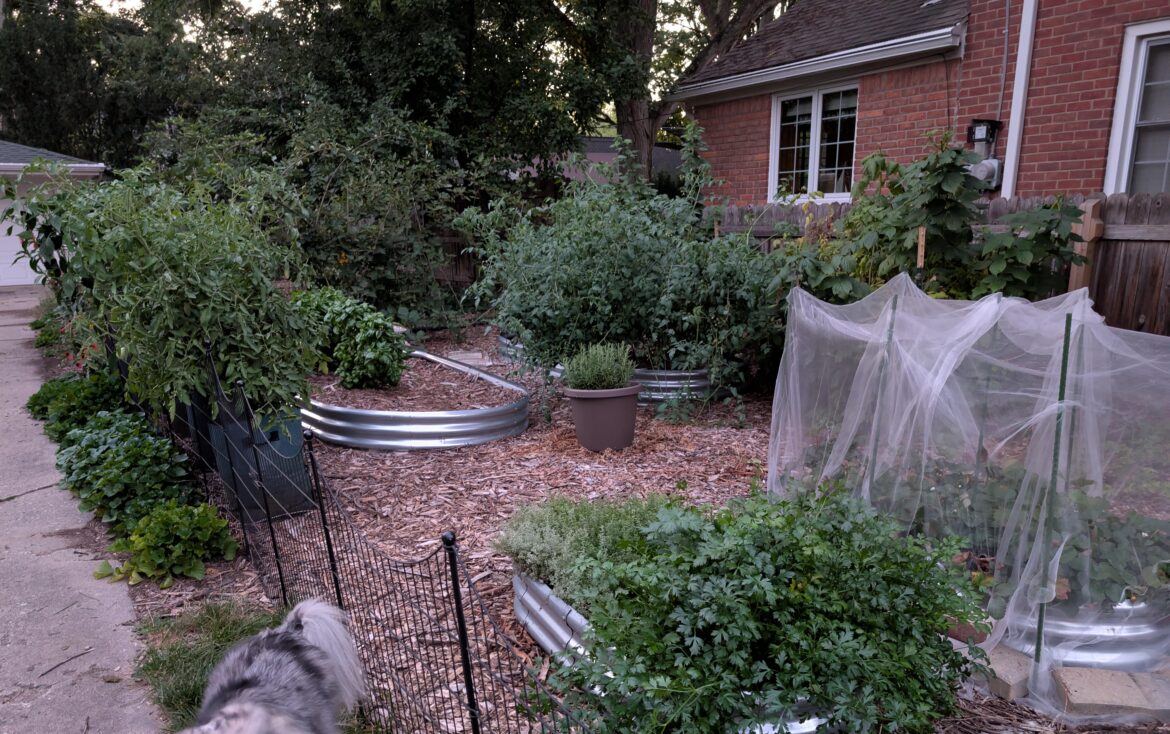 This year I've given away 90% of my produce - and I'm planning on doing so again next year!