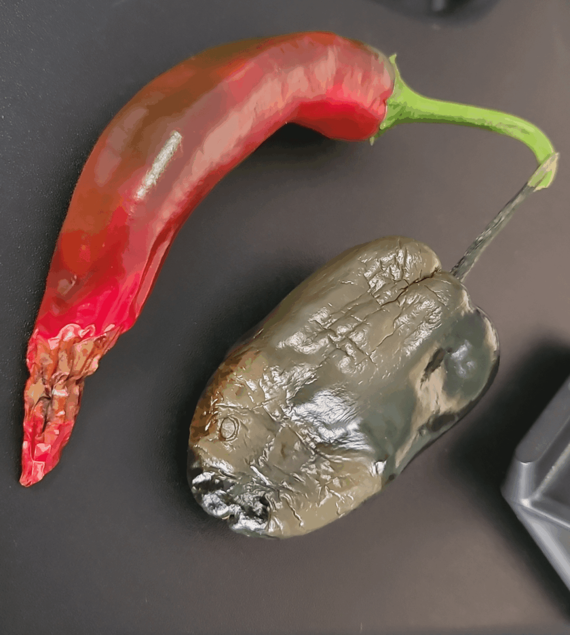 Poplano rotting on the vine?