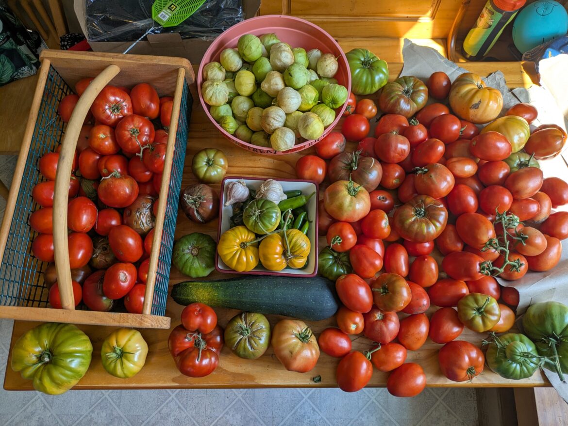 I overplanted I overplanted