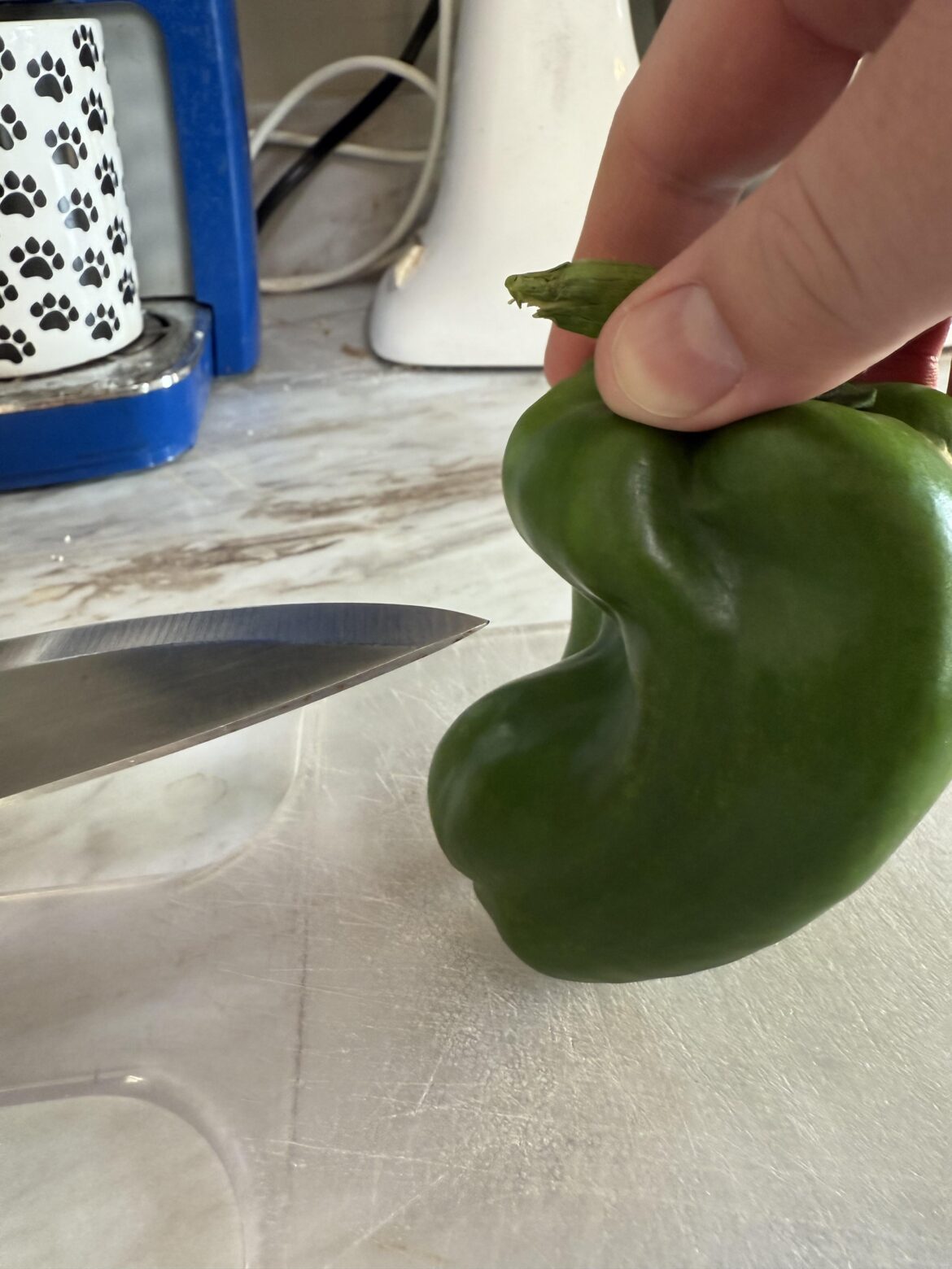First time harvesting bell peppers… when do they stop dodging the knife?