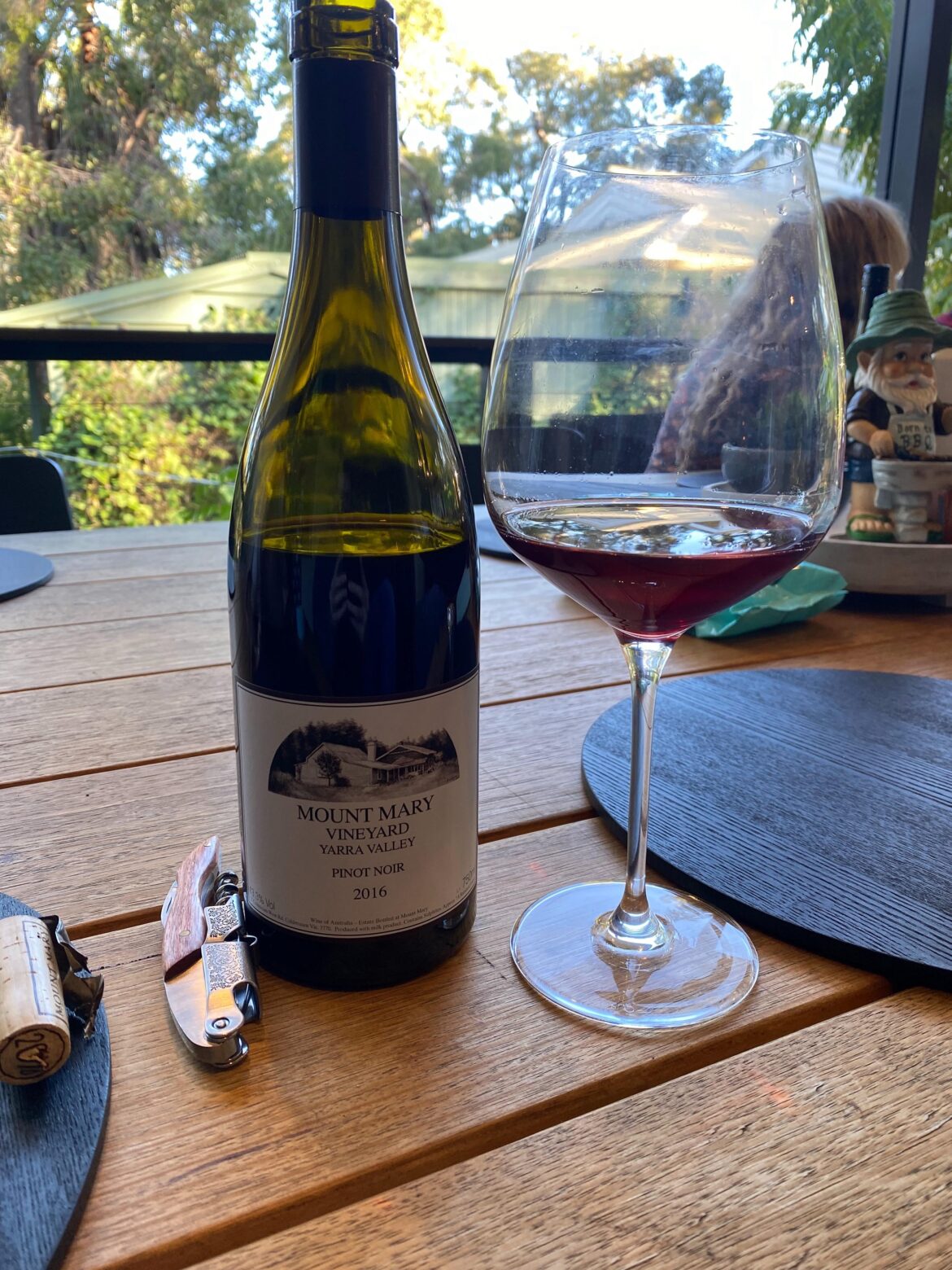 2016 Mount Mary Pinot Noir
