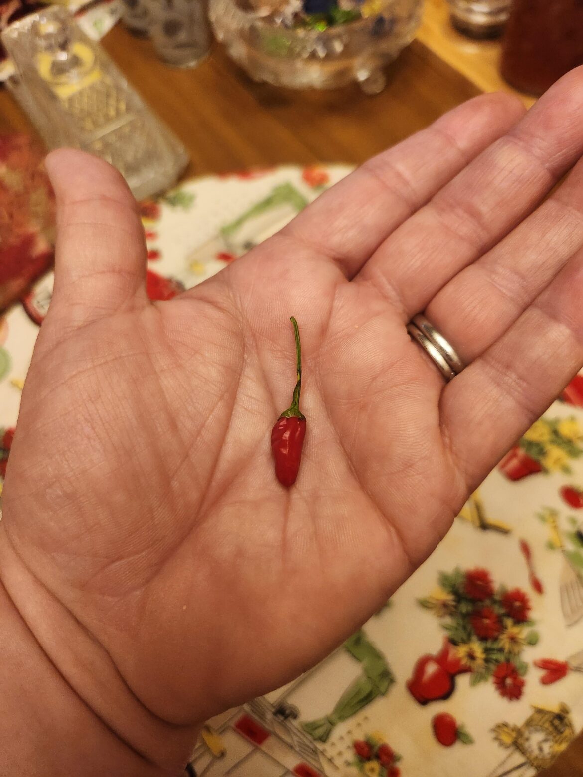 Be in awe of my tabasco pepper!