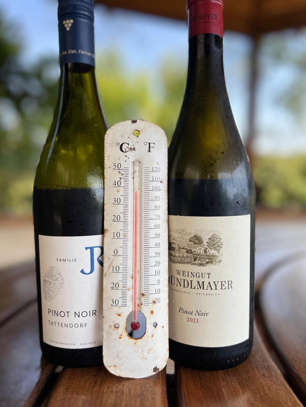 Chilled Austrian red wine