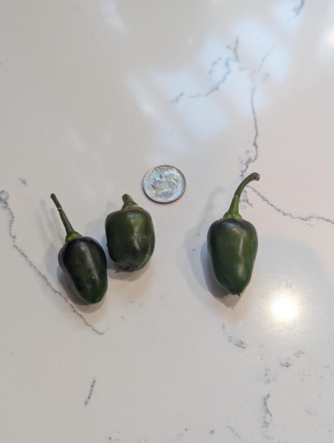 What kind of peppers are these?