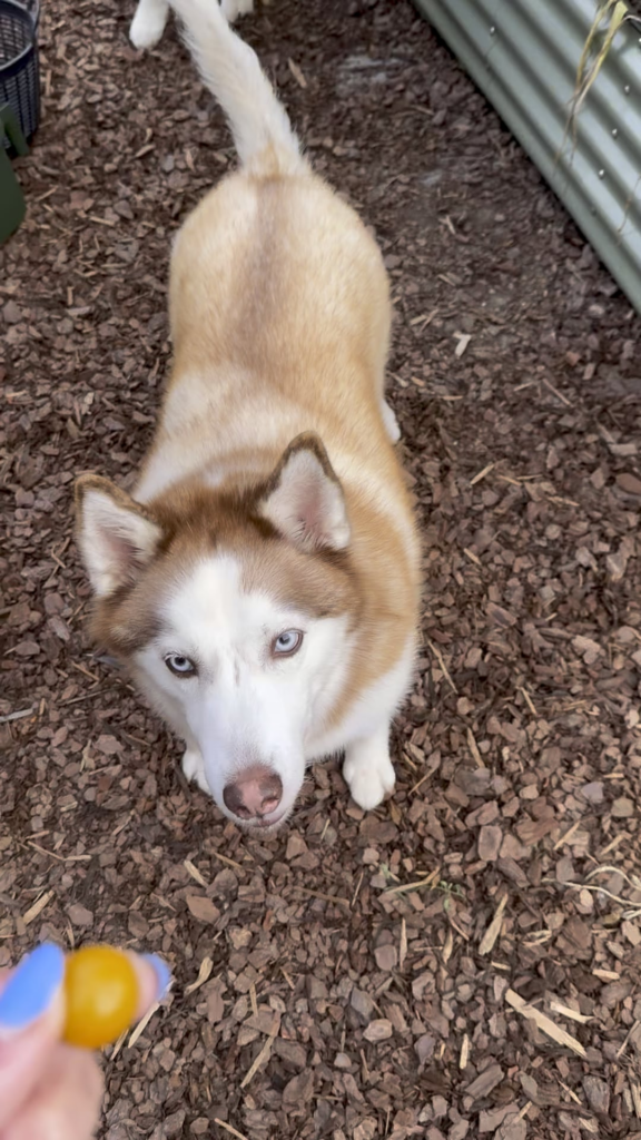 Don’t forget to pay your taxes guys.