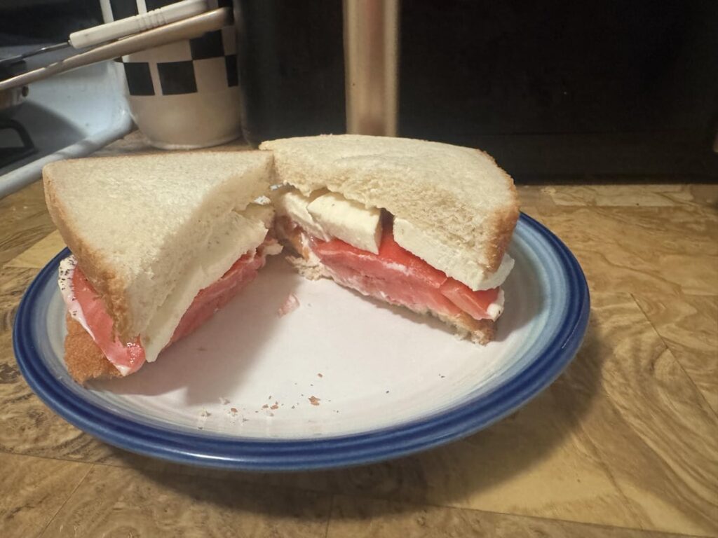 A classic! The tomato sandwich.