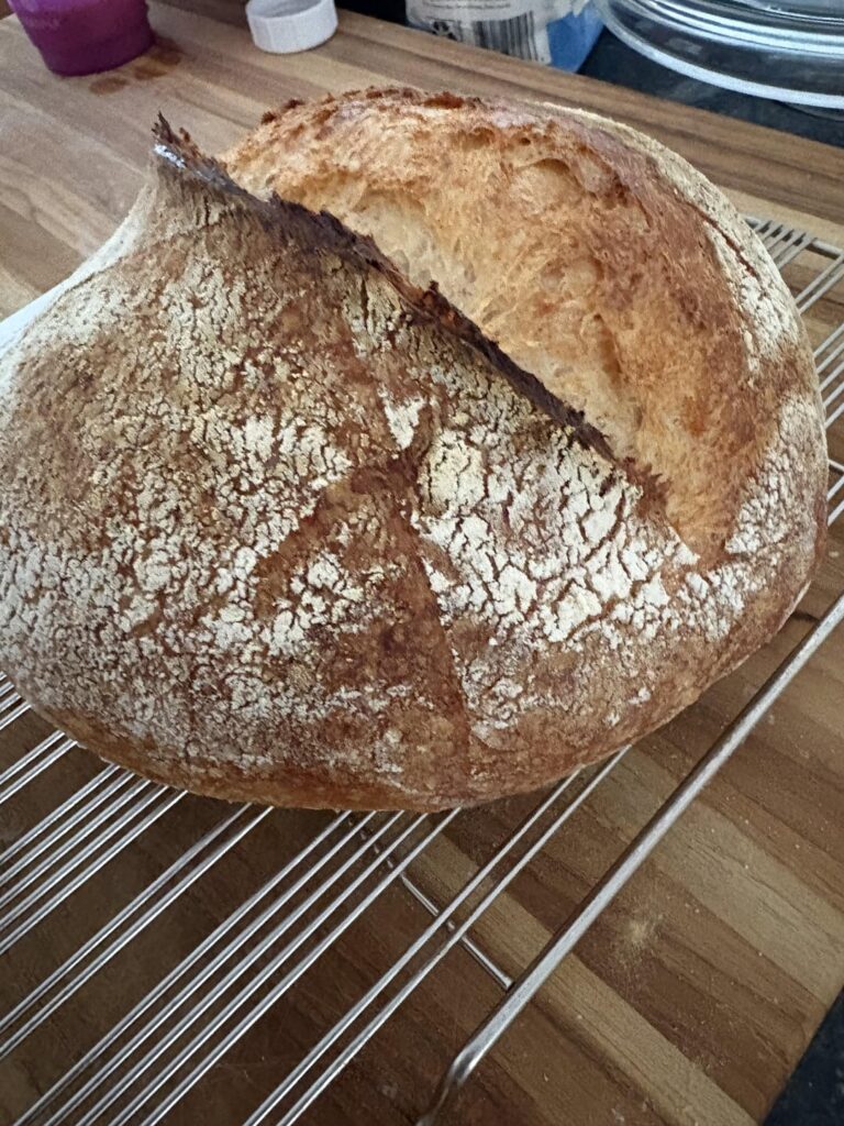 Revived my starter after 6+ months in the fridge. She’s still got it