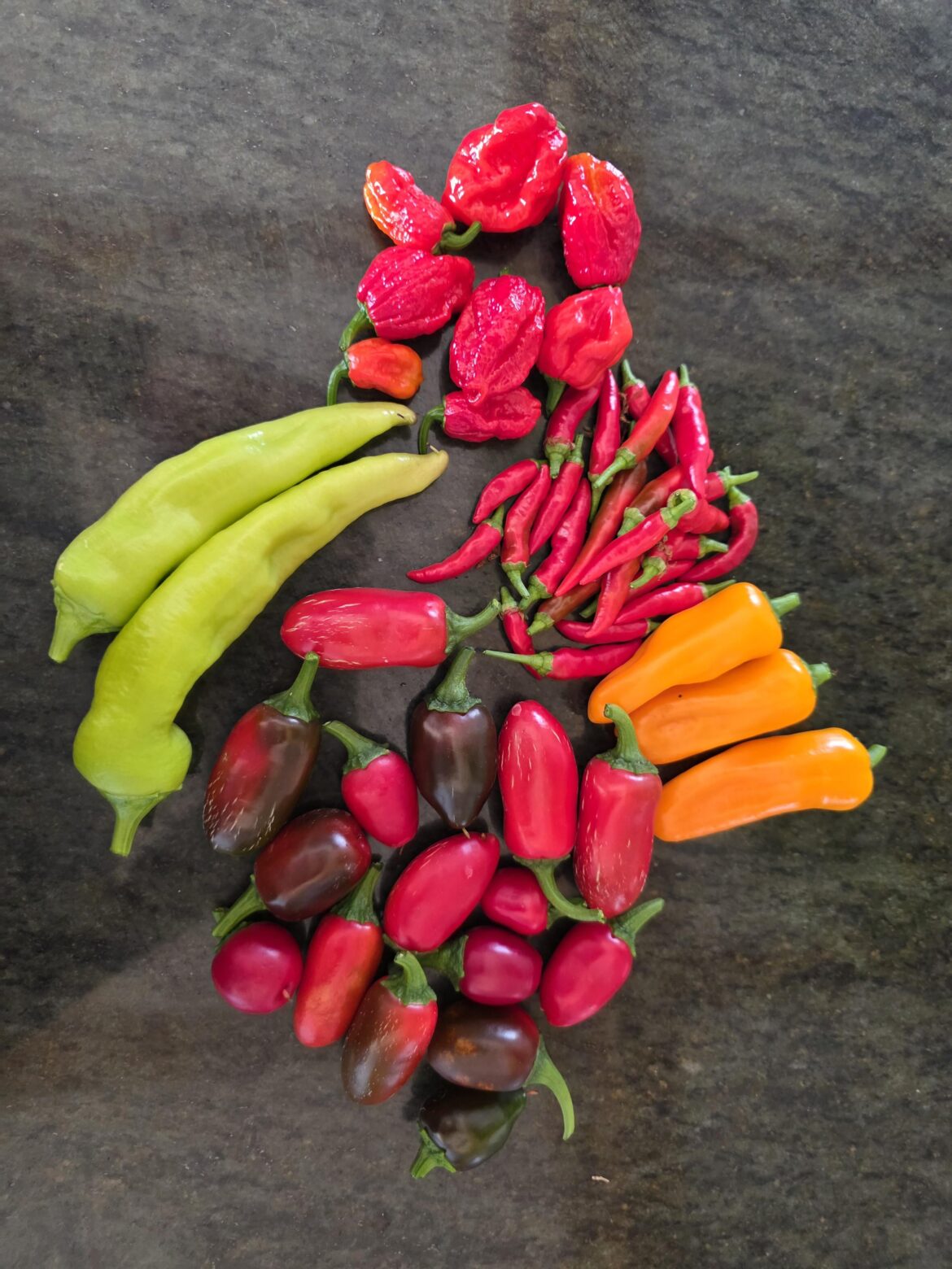 First harvest of many