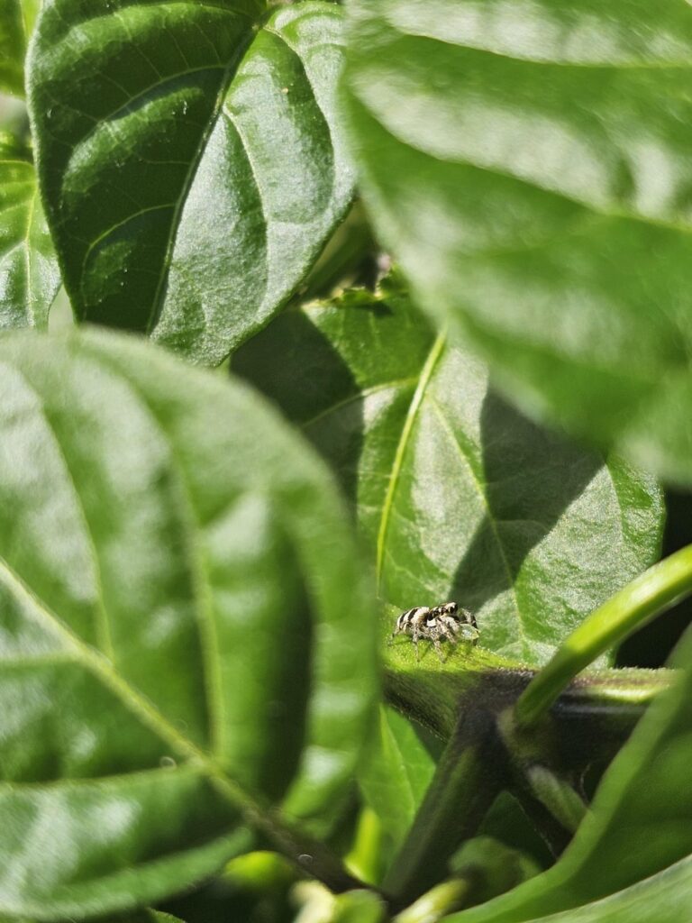 Now look at this little hero!