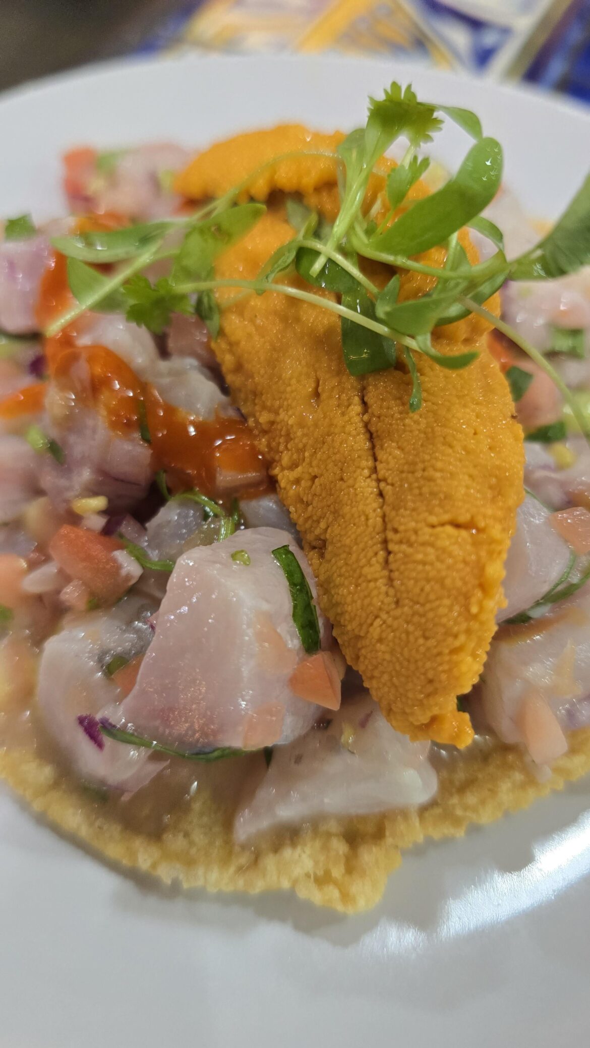 Holbox Uni Tostada