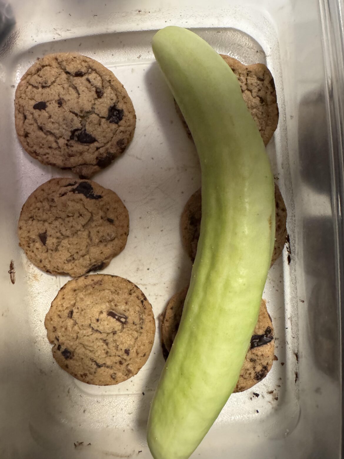 Accidentally swapped the baking soda and baking powder portions in Bravetart’s chocolate chip cookie recipe… Accidentally swapped the baking soda and baking powder portions in Bravetart’s chocolate chip cookie recipe…