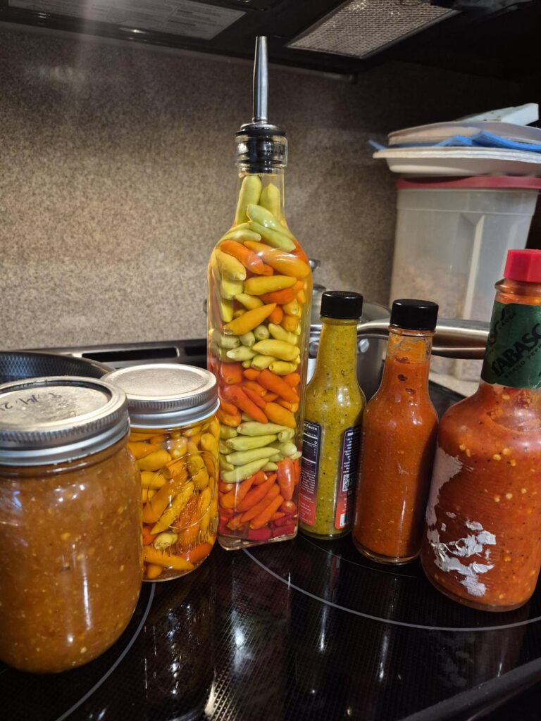 Harvest time is just getting started!!