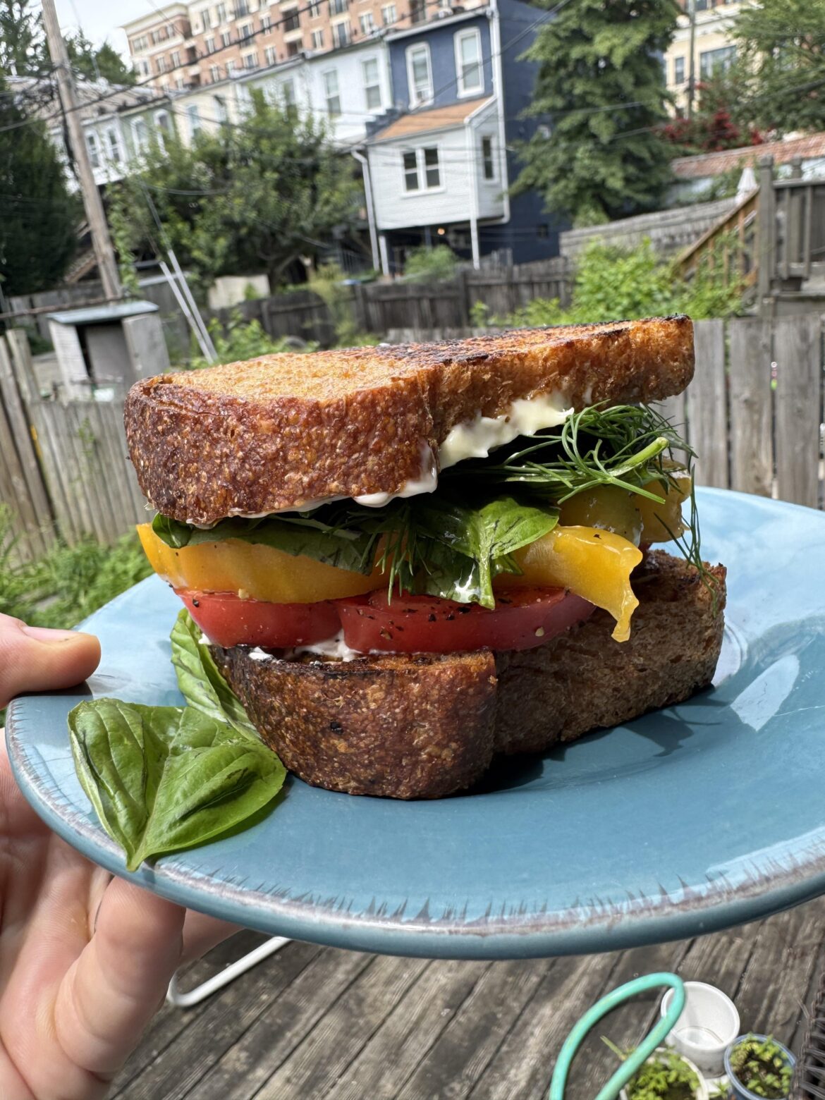 “The Tomato,” from Turkey and the Wolf. 🍅