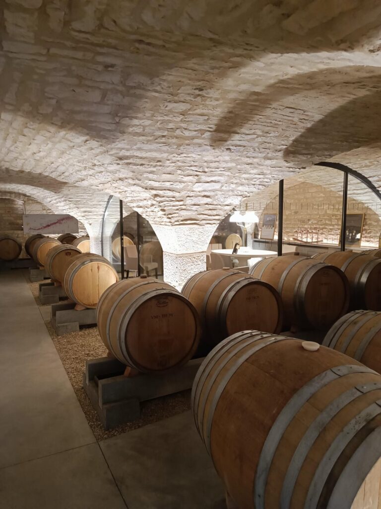 Beautiful cellar in Burgundy
