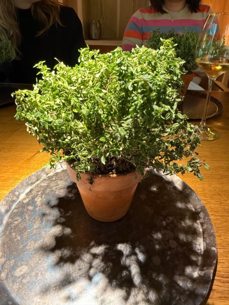 Noma Summer Season 2025 Noma Summer Season 2025