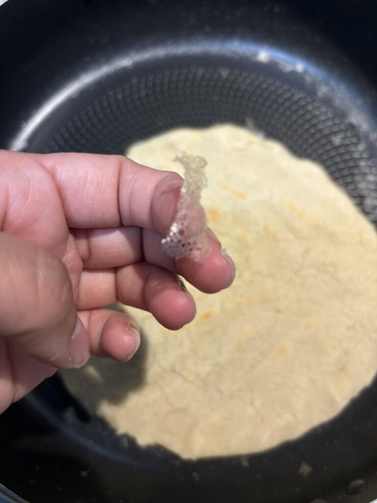 Tortilla