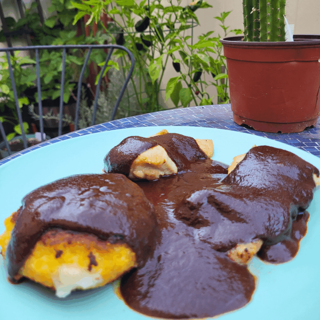 Encantado por comer Mole Negro.