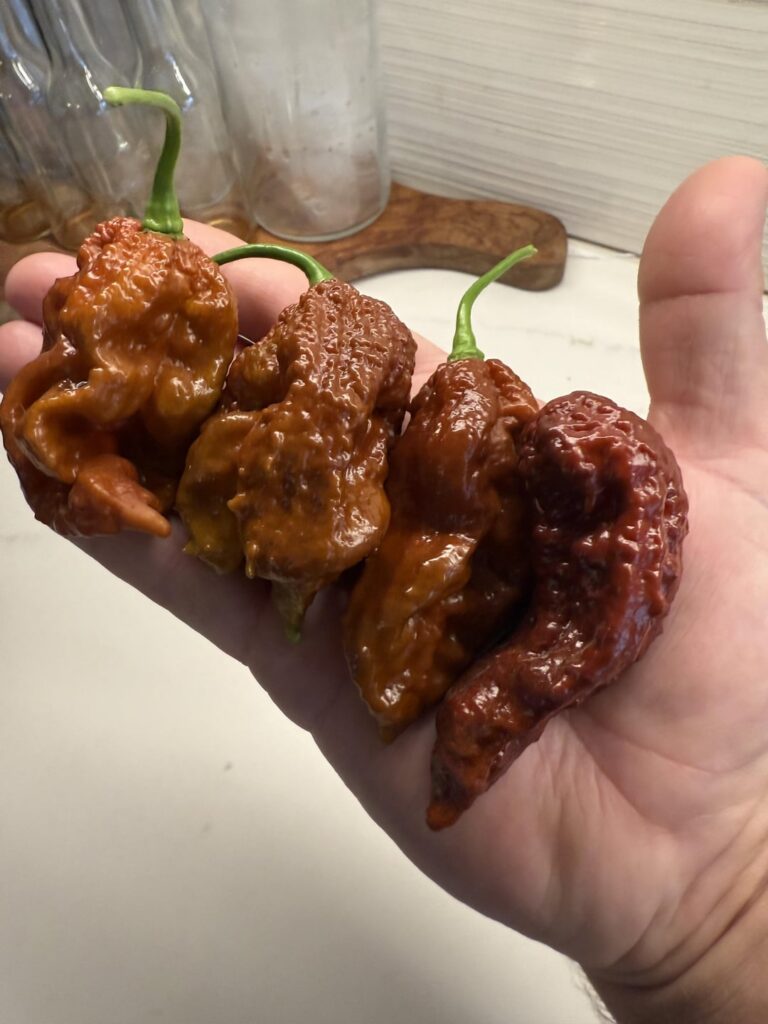 Today’s harvest 😊🔥