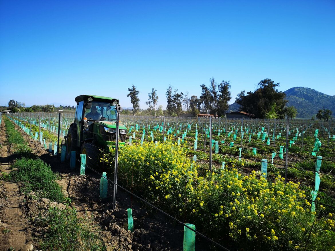 Global sustainability award backs Santa Rita's environmental actions