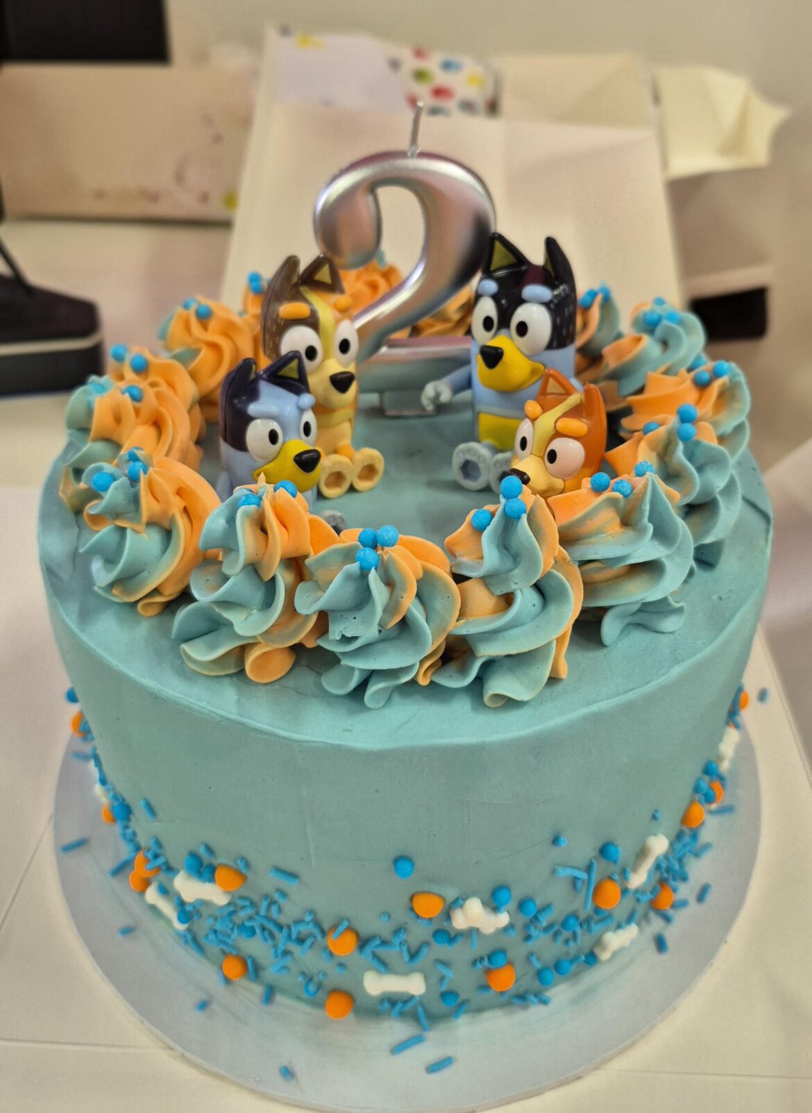 Bluey themed for my nephew's birthday 💙