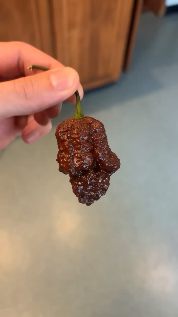 Trying to decide when I’m going to stop admiring this thing and let it ruin my day