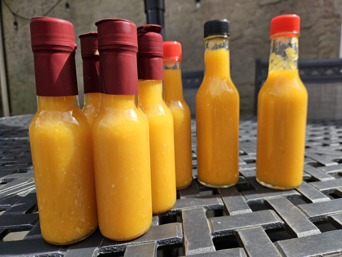 First Sauce Summer 2025 First Sauce Summer 2025