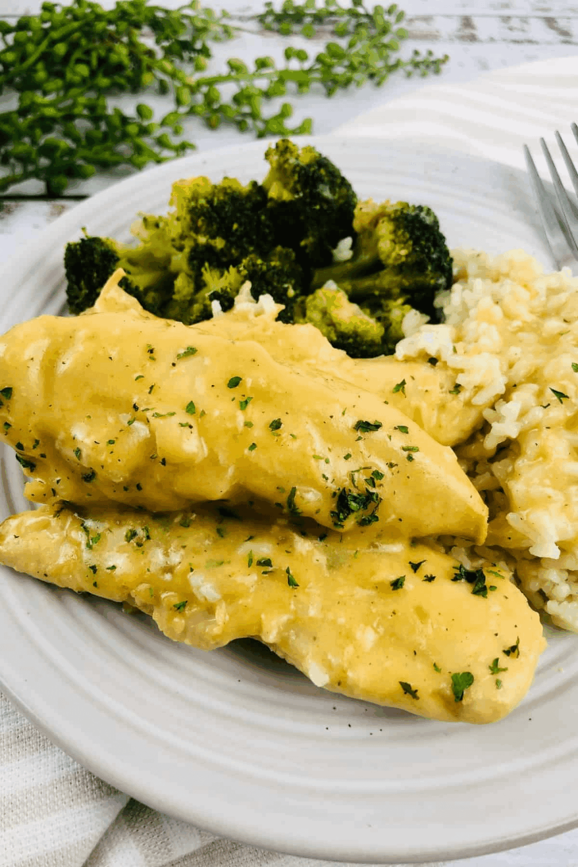 Slow Cooker Chicken And Gravy
