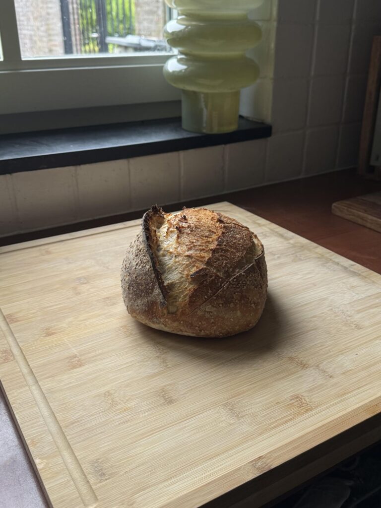 Thanks for all your advice!