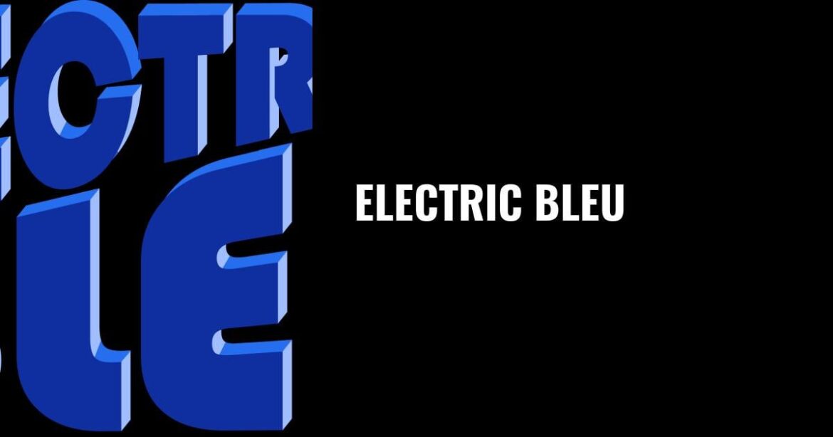 (Close to) Opening Night at Electric Bleu, Mar Vista [$$$$]