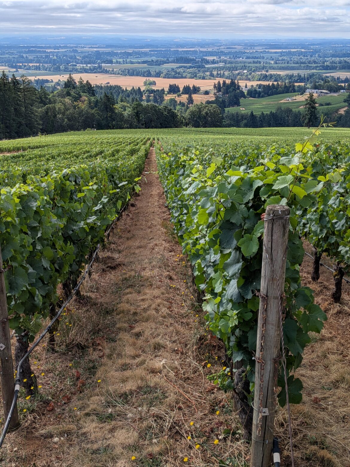 Willamette weekend recap Willamette weekend recap