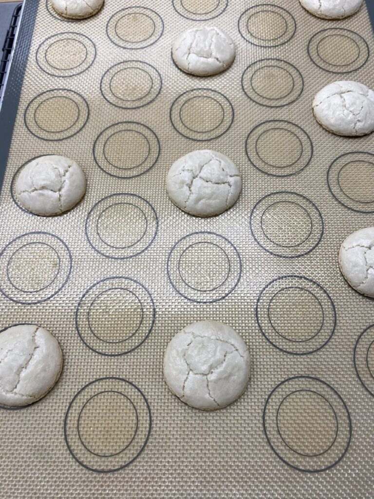 Almond flour too finely milled? Too oily? Send help please! Almond flour too finely milled? Too oily? Send help please!