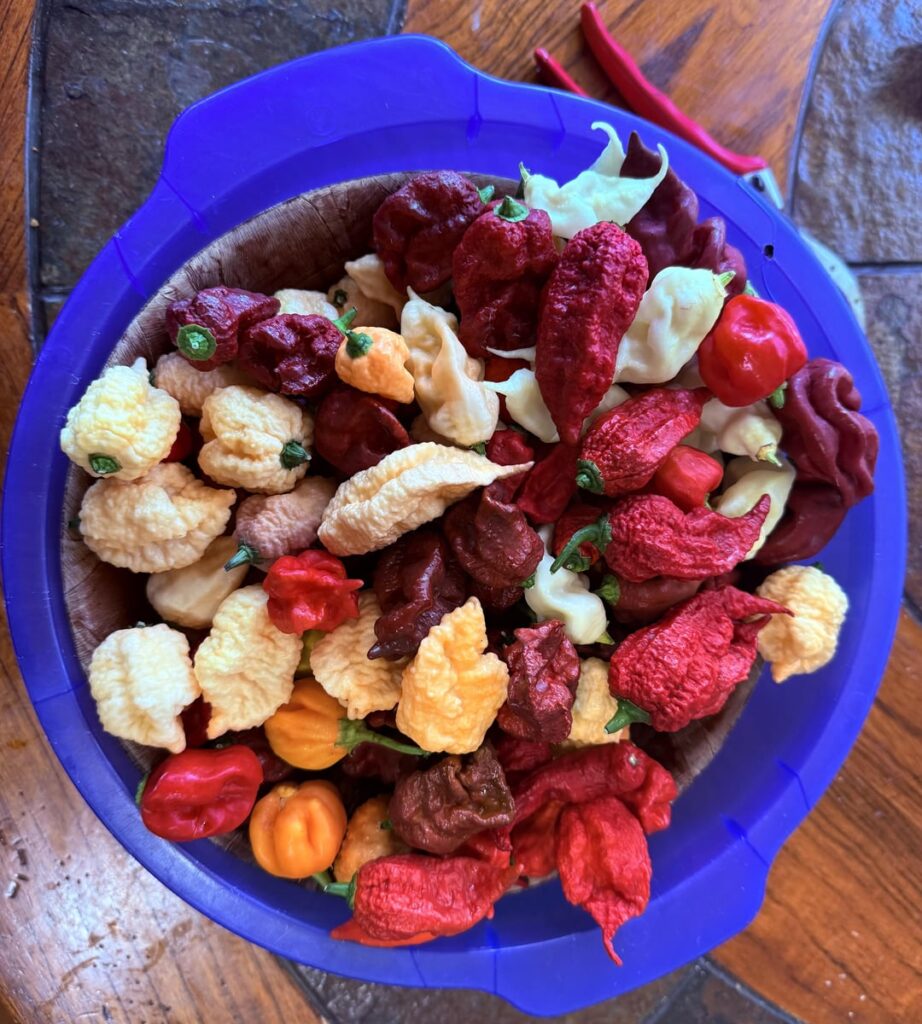 Pepper haul Pepper haul