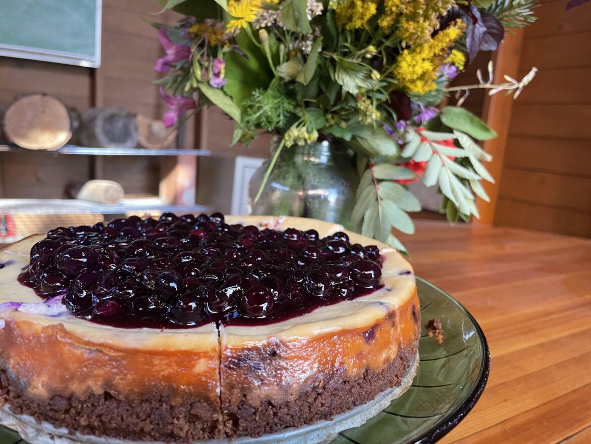 Blueberry season. Locally picked blueberry cheesecake.