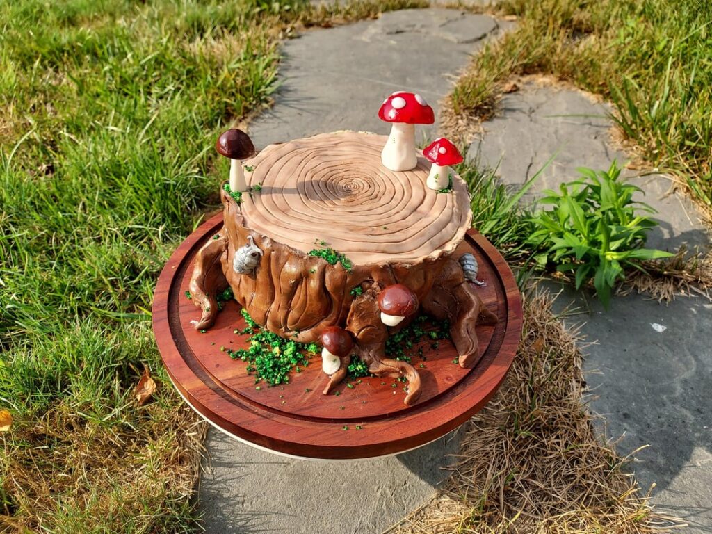 Stump cake for my son's birthday (OP)