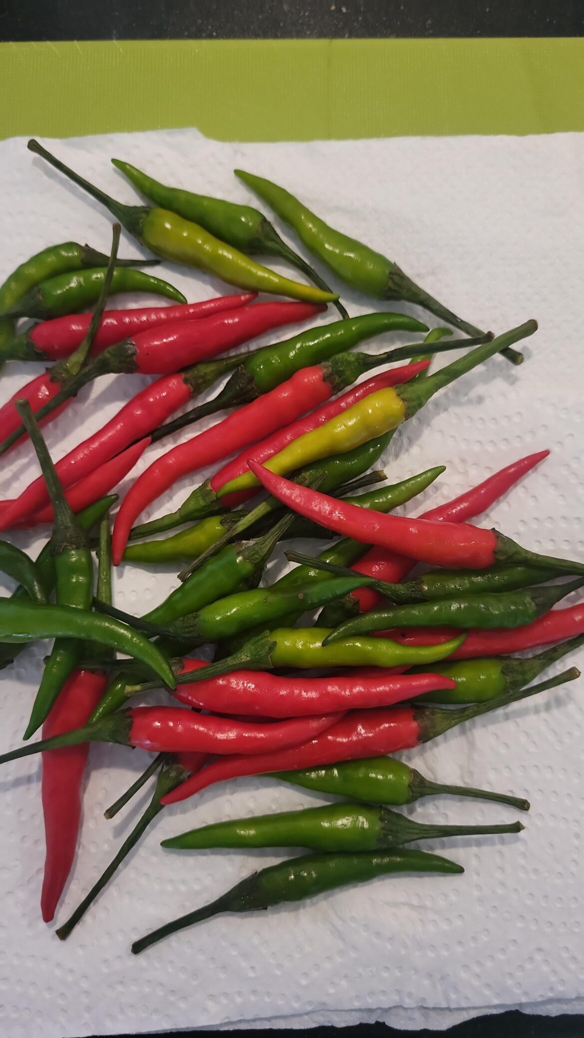 What kind of chillies are these