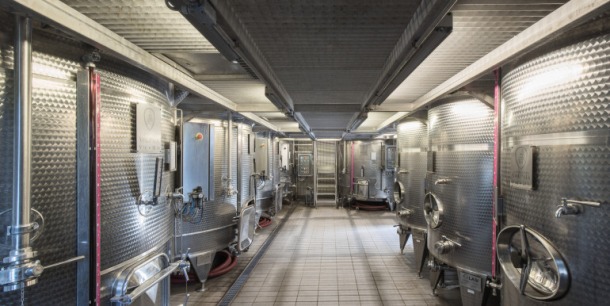 fermentazione4L-770x386 (1)