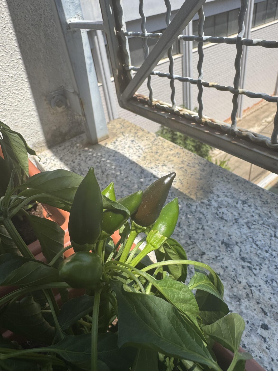 Update and a question Update and a question