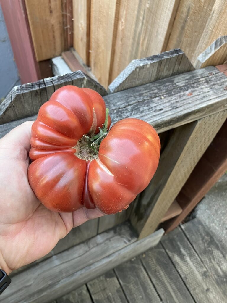 Just picked up this bad boy today.