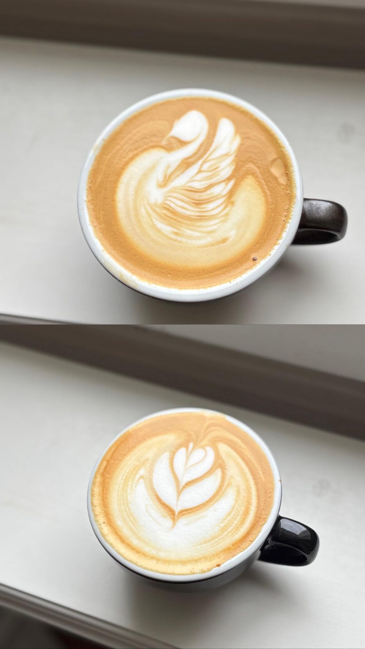 Home barista &on the  7th month of chasing latte art! Absolutely love it