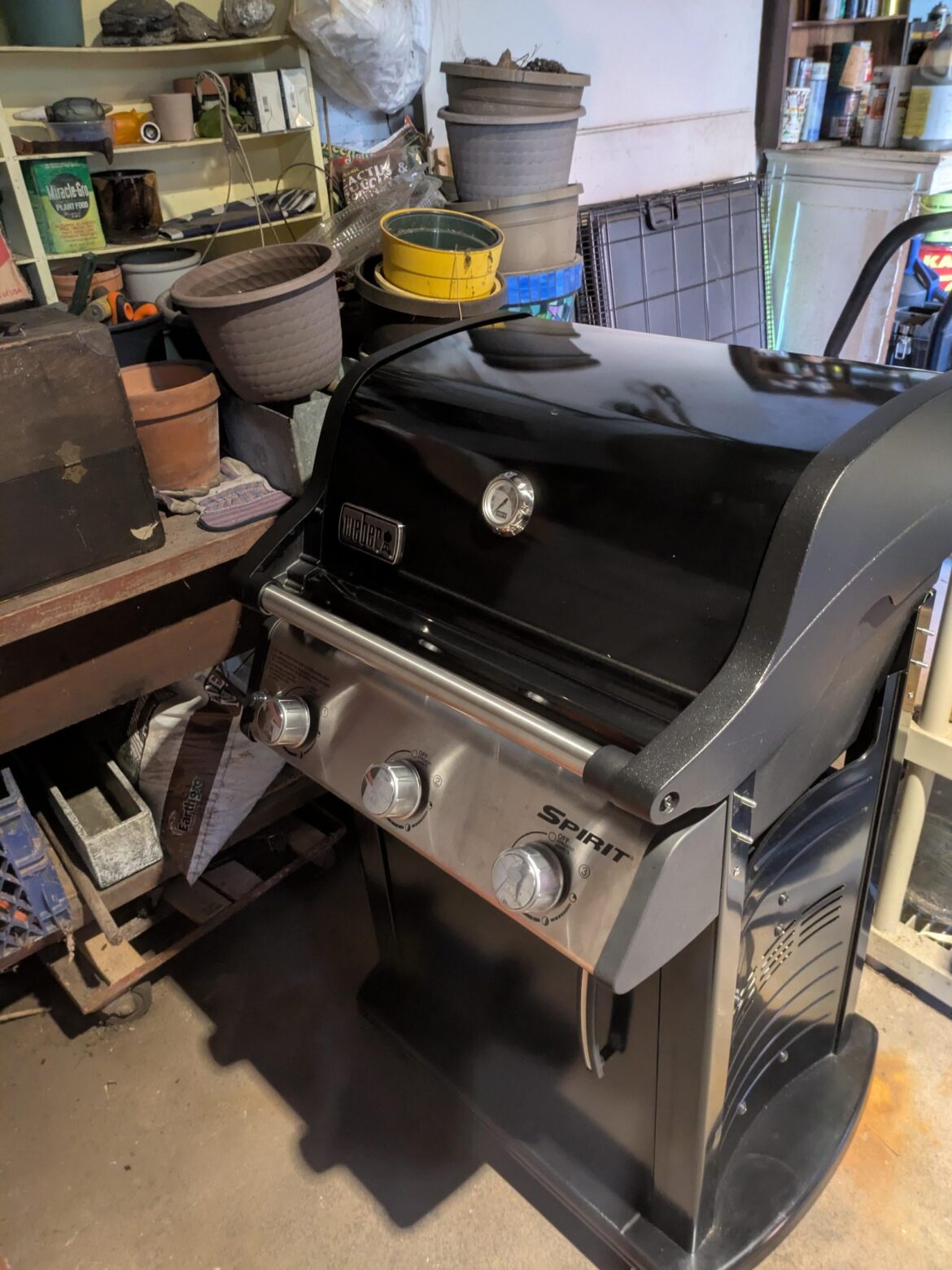 Did not need to ask if it was "worth it"