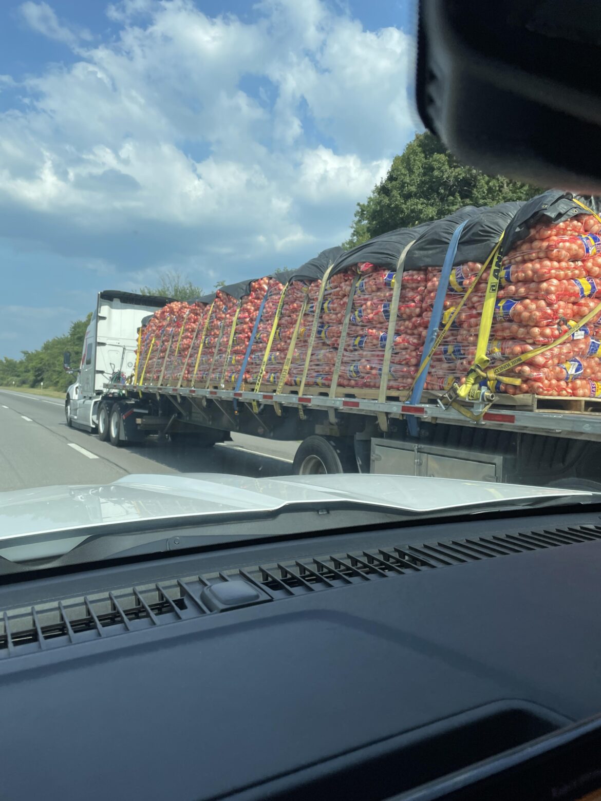 One Serving of Onion